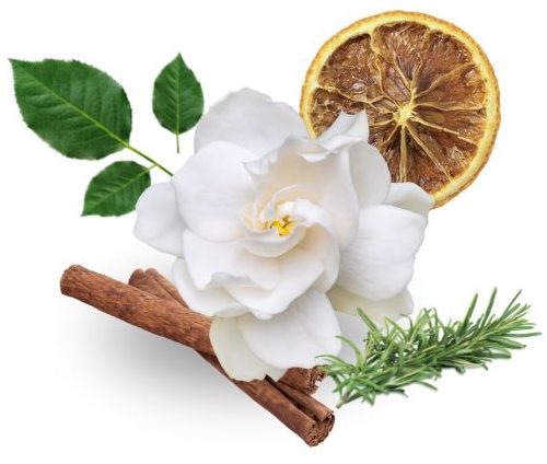 Montaje de imágenes con flor blanca, romero, una fatia de naranja seca y hojas